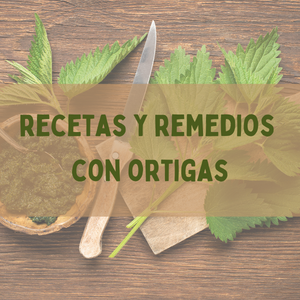 Recetas y Remedios con Ortigas